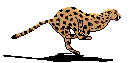 Free Pascal Compiler